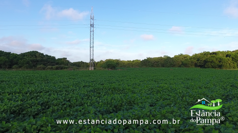 DOS EÓLICOS VIRA P FAZENDA_Moment.00_00_53_00.Quadro011_e74e7c56d6a318db7a2fbefa0e767ef6e3a0bdde.png